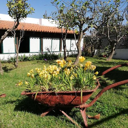 Casa Rural Limon Y Sol El El Sauzal Exterior foto