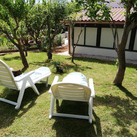 Casa Rural Limon Y Sol El El Sauzal Exterior foto