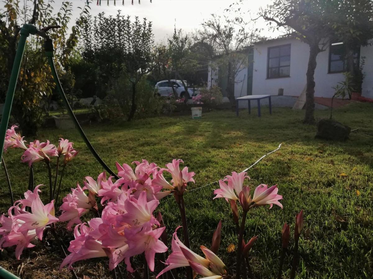 Casa Rural Limon Y Sol El El Sauzal Exterior foto