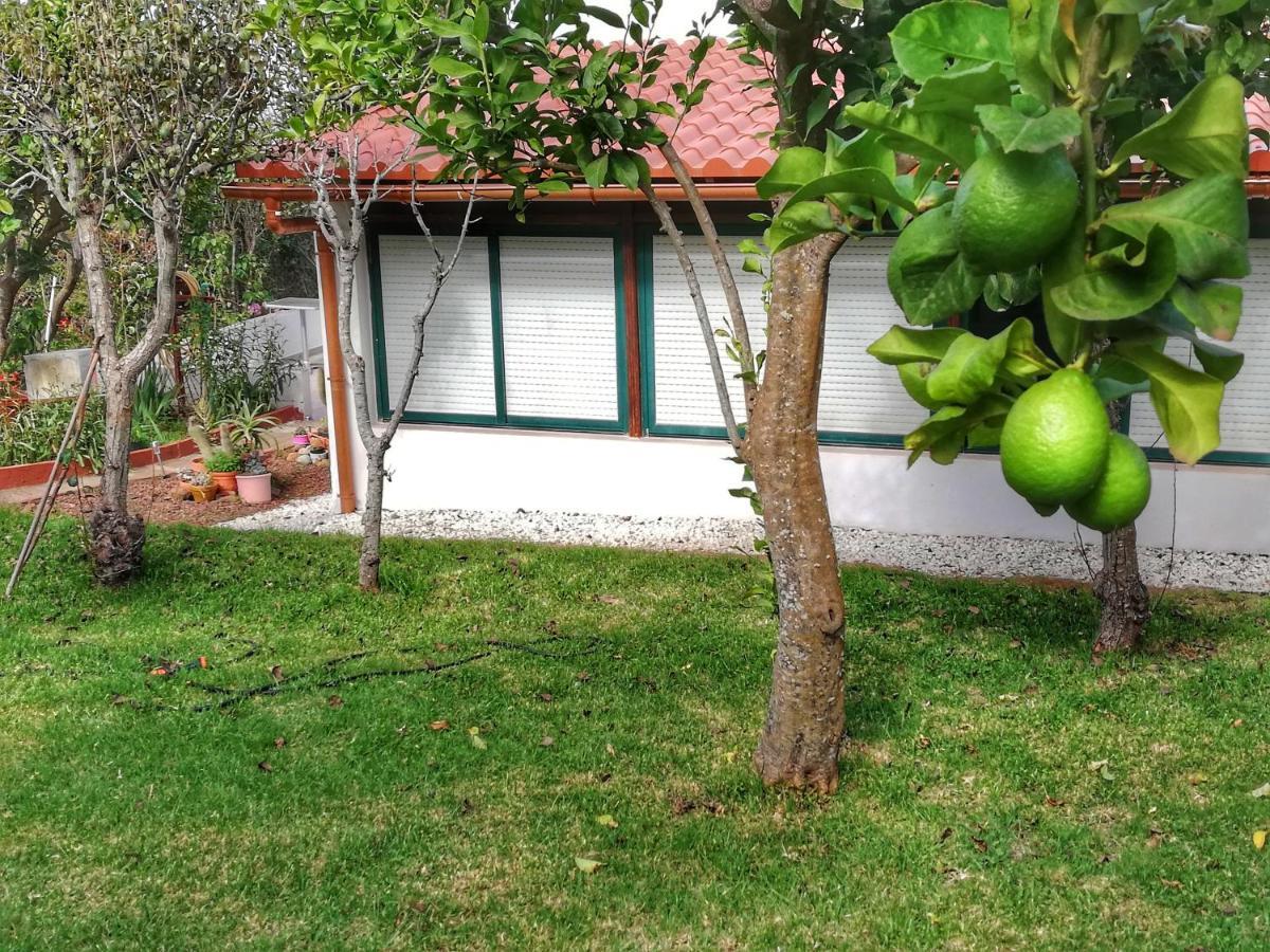 Casa Rural Limon Y Sol El El Sauzal Exterior foto
